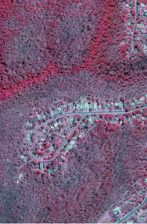 Infra-red aerial imagery